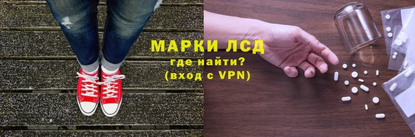 сатива Новодвинск
