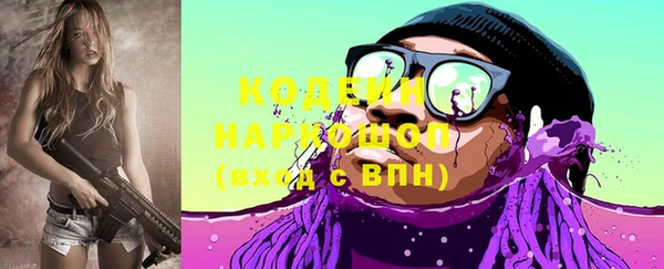 сатива Новодвинск