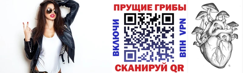 Псилоцибиновые грибы ЛСД  Сенгилей 